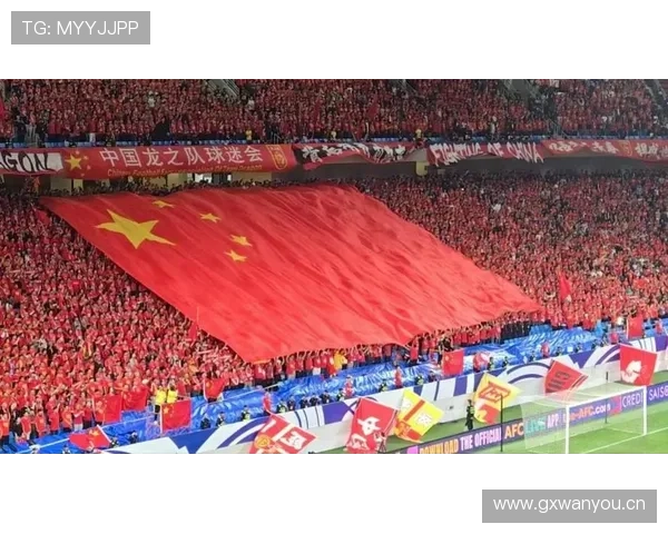 雅加达球迷热情助阵印尼国家队，世界杯预选赛表现备受关注