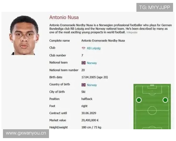 马丁内利国家队关键战表现分析