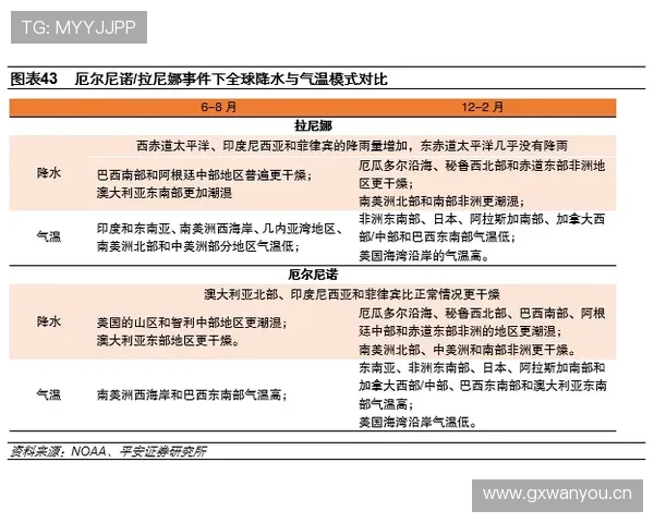 居莱尔成长兑现度与实战表现解析：潜力转化效率与赛场贡献评估